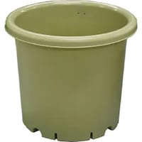 ���S���Ɓ@�`�y�x�W�|�b�g�@�P�O���@�O���[���@�A�ؔ��@��ؗp