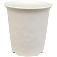 �m�[�~�B�n�C�|�b�g