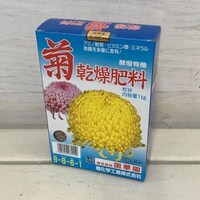 ���؉��@�e�����엿�@�P�����@�엿�@�e�p