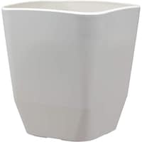 �A�b�v���E�F�A�[�@�A�g���G�@�X�N�G�A