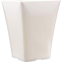 �A�b�v���E�F�A�[�@�O���V�A�|�b�g�@�Q�S�T�^�@�z���C�g�@�A�ؔ��@�v���X�`�b�N