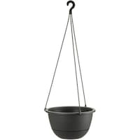 ���b�`�F���@�n���M���O�{�[���@�X�g���C�v�@�V��