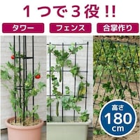 第一ビニール まきまきトレリス W600mmxH1800mm 支柱 収納