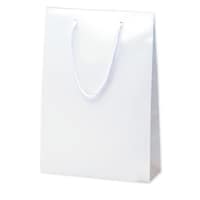 �T�T�K���@��񂰑܁@�u���C�g�@�Q�Q�T�~�W�O�~�R�Q�O�@�V���@�P�O����