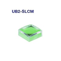 �m�j�j�X�C�b�`�Y�@�@�p�`�ƌ��{�^���@�t�a�Q�r�k�b�l�@�t�a�Q�r�k�b�l�@�P��