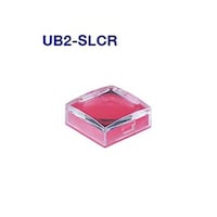 �m�j�j�X�C�b�`�Y�@�@�p�`�ƌ��{�^���@�t�a�Q�r�k�b�q�@�t�a�Q�r�k�b�q�@�P��