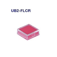 �m�j�j�X�C�b�`�Y�@�@�p�`�ƌ��{�^���@�t�a�Q�e�k�b�q�@�t�a�Q�e�k�b�q�@�P��