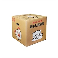 Gs元気酵素【動物活性酵素】20L C20D0019