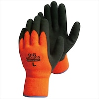 �x�m�O���[�u�@�E�C���^�[���C�g�V�R�S���w�����@�k�@���V�O�R�R