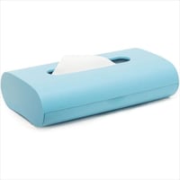 �I�J�@�t�B���t�B�b�g�@�e�B�b�V���P�[�X�@�a�@�O