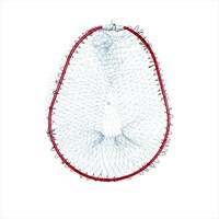 �x�������g�@�A���~�I�[�o���t���[���k�U�O�O�i�q�c�j�@�l�q�P�X�S