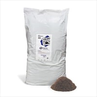 �O���R�[�|���[�V�����@�s�O�s�[�g�@�o�k�o�S�O�S�@�T�����@���O�T�X�O�W�R