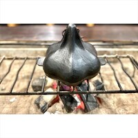 �r�i�S�H�@���S���[�X�^�[�ɂ�ɂ���@�O