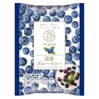 ニチノウ 国産ブルーベリー 100g×4袋