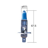 �������쏊�@�o�O�V�T�P�v�@�z���C�g�r�[���u�����D�R�@�S�Q�O�O�j�@�Q����@�g�P