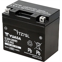 ��p���A�T�@�s�s�y�V�r�k�@�V�[���h�^�@�o�C�N�p�o�b�e���[�@�t���[�d��