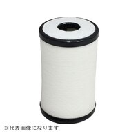 ���j�I���Y�Ɓ@�t�a�e�O�P�P�@�u���[�o�C�K�X�t�B���^�[