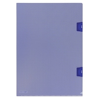 �v���X�@�J���t���[�W���z���_�[���b�N�t