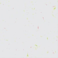 マルアイ 包装紙 Bラップ 錦 1セット(50枚×50)