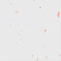 �}���A�C�@����@�a���b�v�@�؂̉ԁ@������@�P�Z�b�g�i�T�O���~�T�O�j