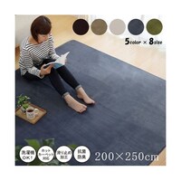 イケヒコ ピオニー カーペット 無地ラグ