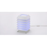 �����Y�Ɓ@�ߒ���@���V�L���p�@�l�r�b�O�O�Q