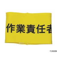 �h���@�X�g���b�`�r��