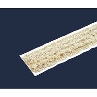 �e�����g�@���C�g���b�v���@�S�T�����@�b�k�R�T�Q�P�S�T�O