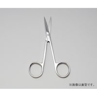 �A�Y�����@��ș����@�P�P�T�����@��