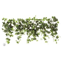 �X���n�Ӂi�X�g�A�E�G�L�X�v���X�j�@�O���[���V�_���K�[�����h