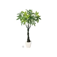 �X���n�Ӂi�X�g�A�E�G�L�X�v���X�j�@�l�H����