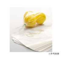 �X���n�Ӂi�X�g�A�E�G�L�X�v���X�j�@�|���G�`�����K�i��