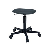 �T�J�G�@���[�N�`�F�A�[�@�r�P�b�a�j�m