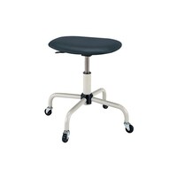 �T�J�G�@���[�N�`�F�A�[�@�r�S�b�a�j�m