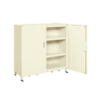 �T�J�G�@�X�[�p�[�W�����{�ۊǌ�