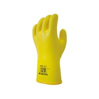 �_�C���S���@�h����܁@�_�C���[�u�P�Q�O�@�k