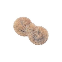 �T�̎q���q�������X�@�T�̎q���q�@���ǂ���@�z���C�g