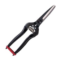 �A���X�@�H����