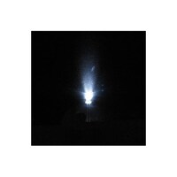 �������w�H�Ɓ@���k�d�c�@�T�����@�����P�x�@�m�r�o�v�T�O�O�c�r