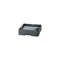 �u���U�[�@���݋L�^���g���C