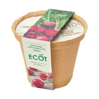 エコット M ラディッシュ GD41103