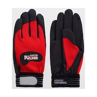 �x�m�O���[�u�@������v��܁@�o�t���C�i�[�@�A���t�@