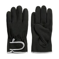 �x�m�O���[�u�@�l�H��v���ȃ}�W�b�N�t��܁@���_���X�g�@�k�@�P�P�[�X�i�P�O�o���j�@�V�V�Q�W