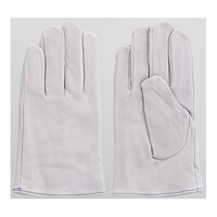 �x�m�O���[�u�@�ؖ{����ȕt��܁@���@�k�@�P�P�[�X�i�P�O�o���j�@�T�W�R�O