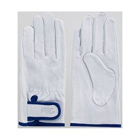 �x�m�O���[�u�@���{�烌�C���W���[�^�A�e�Ȃ����