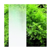 スリーエム ジャパン ファサラ ガラスフィルム ツルギ SH2FGTG 1270MMX30M