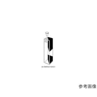 �r�����������@�r�������������������@�u���O�p�`�Ήp�Z��