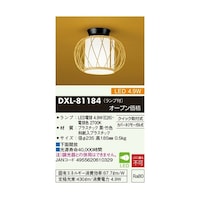 ����d�@�@�a�����^�k�d�c�V�[�����O���C�g�@�c�w�k�W�P�P�W�S