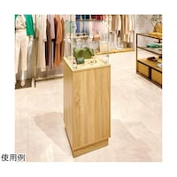 �X���n�Ӂi�X�g�A�E�G�L�X�v���X�j�@�ؐ��K���X�^���[�V���[�P�[�X