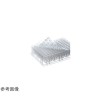 �`�a���������@�L���b�v�}�b�g